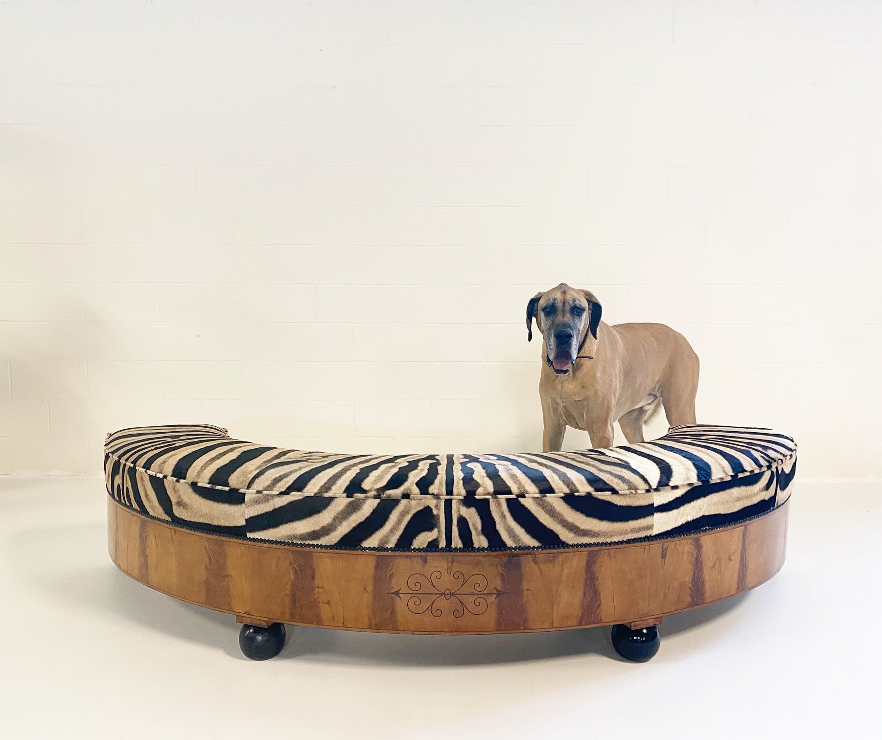 19th Century Fruitwood Banquette in Zebra Hide - FORSYTH