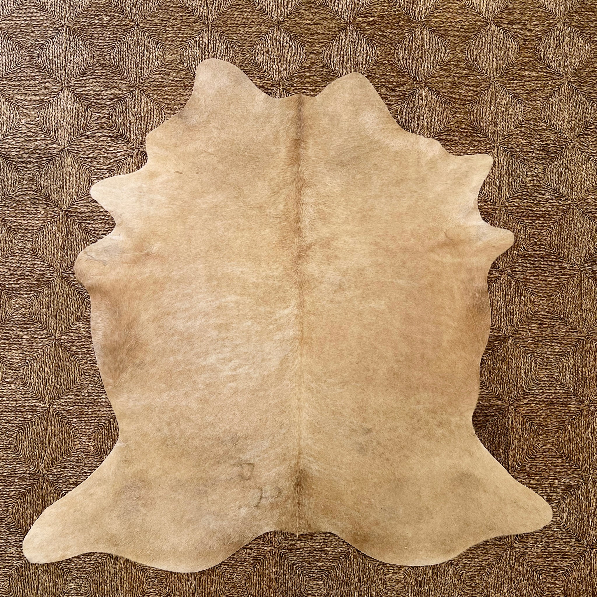 Brazilian Cowhide Rug, Palomino, No. 11