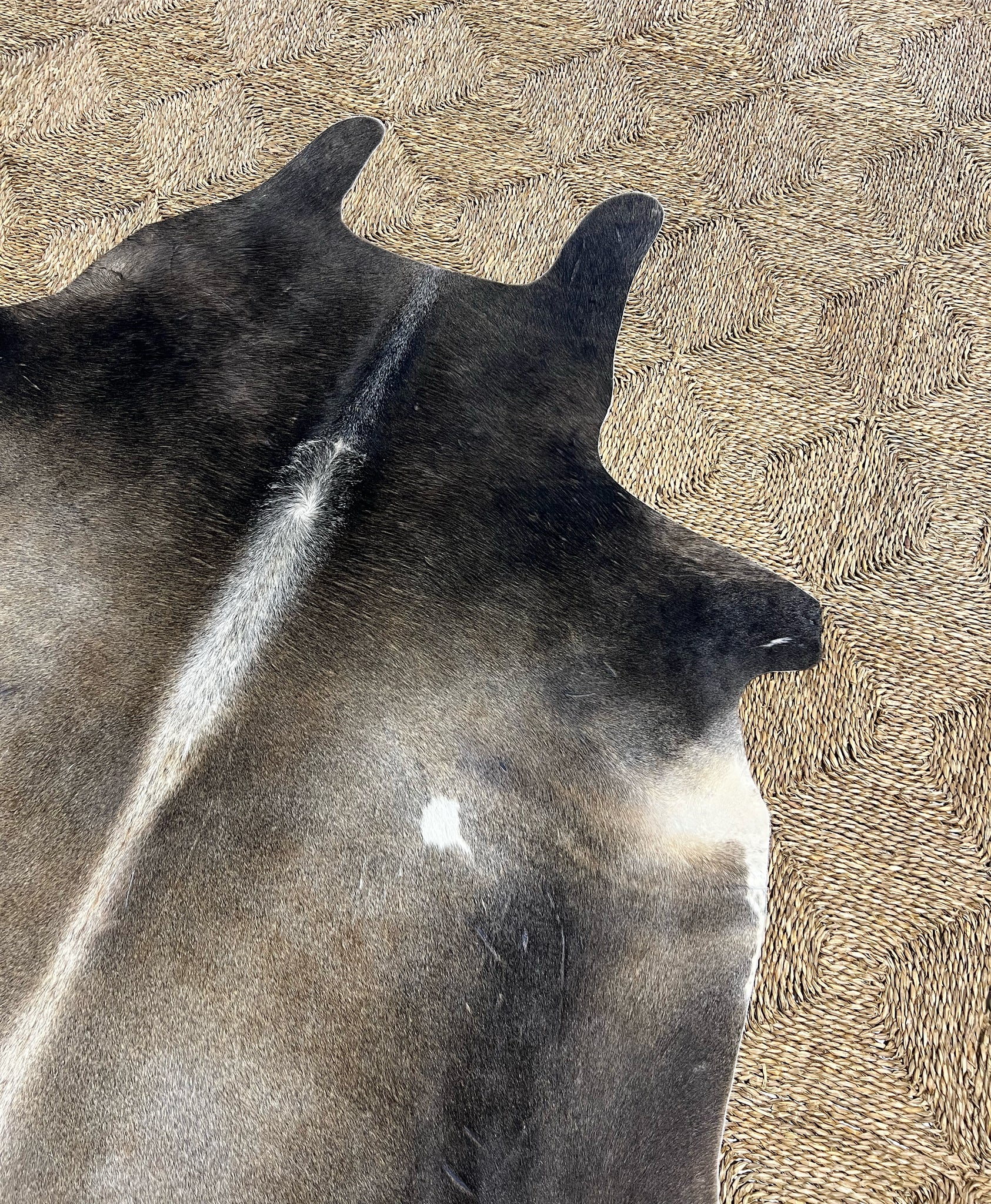 Brazilian Cowhide Rug, Salt and Pepper Brown, No. 7