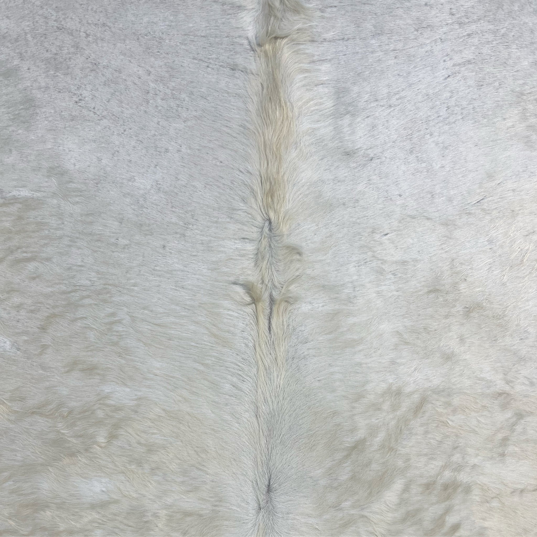 Brazilian Cowhide Rug, Ivory, No. 13