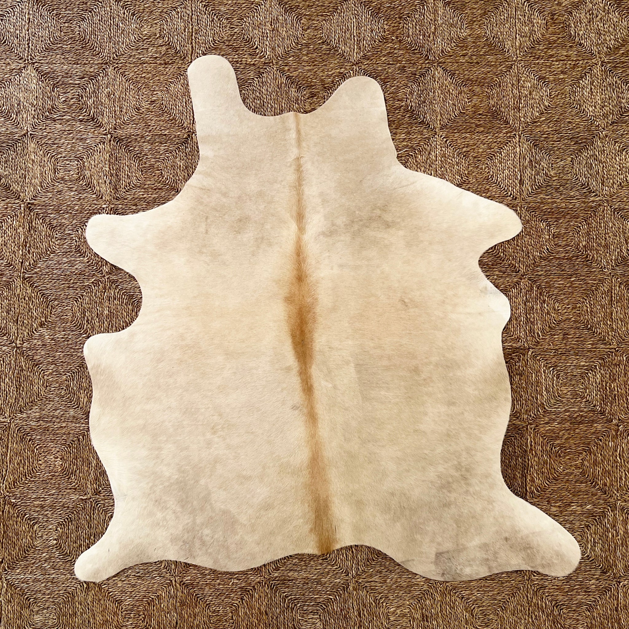 Brazilian Cowhide Rug, Palomino, No. 12