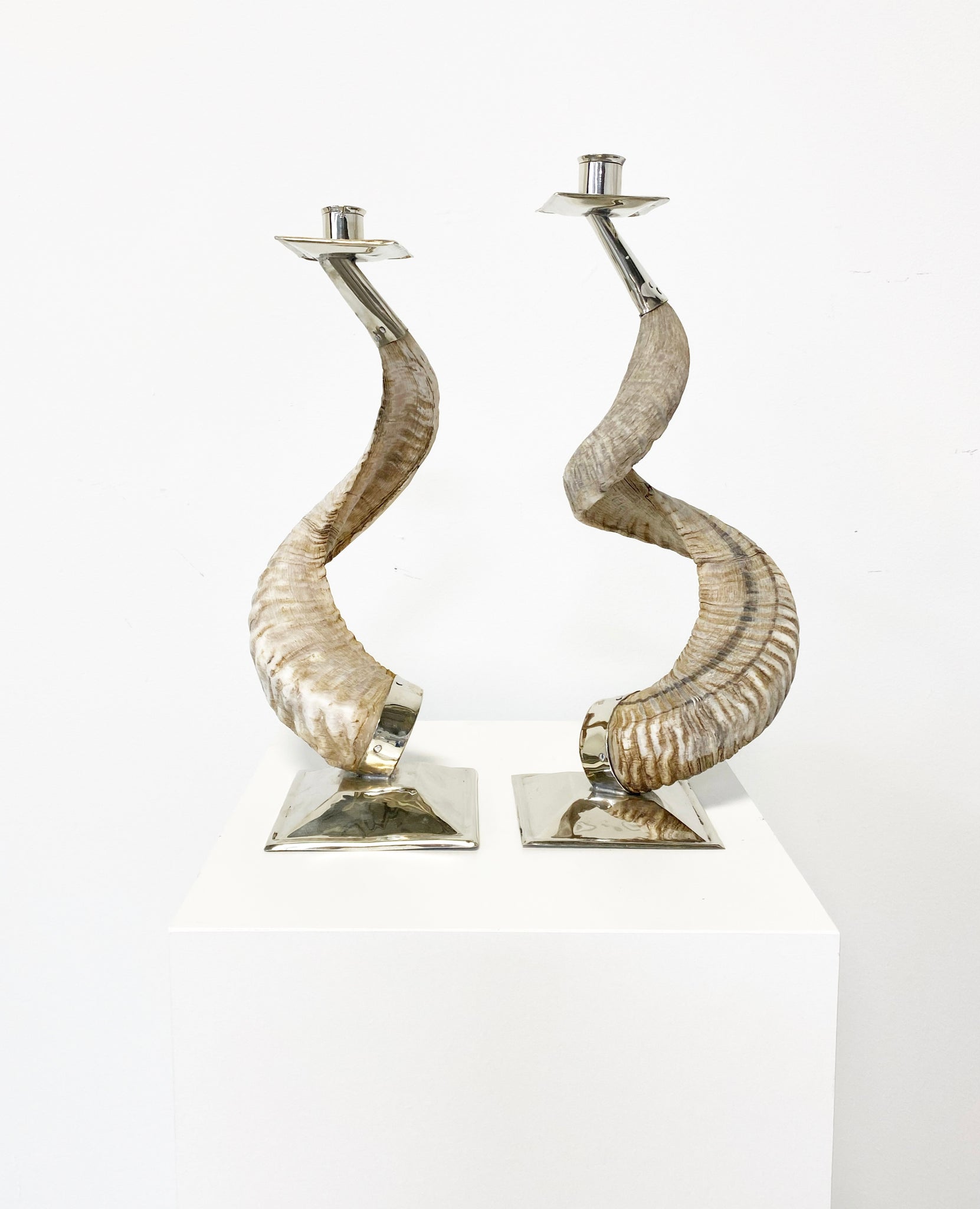 Large Horn and Silver Candlesticks, Pair