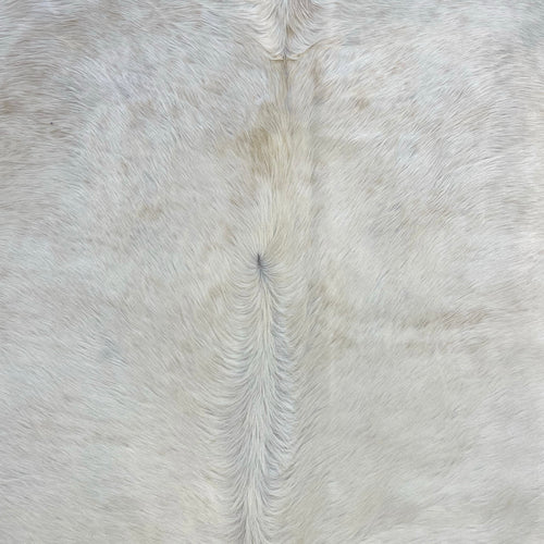 Brazilian Cowhide Rug, Ivory, No. 14