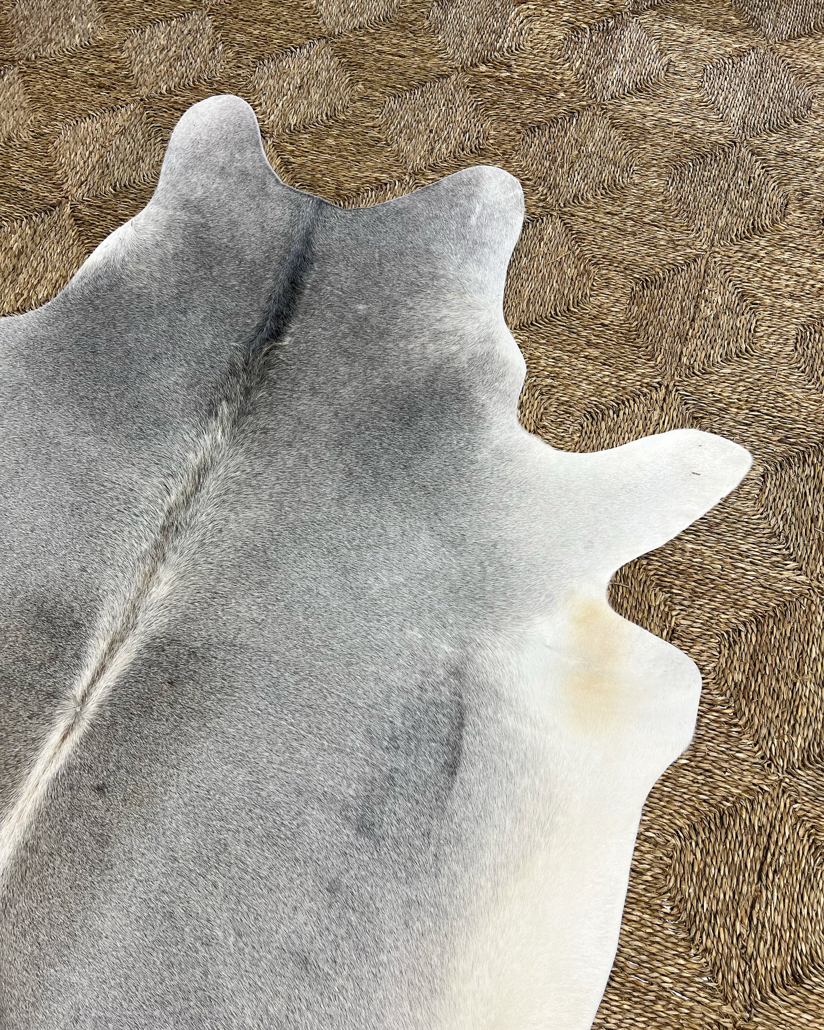 Brazilian Cowhide Rug, Salt and Pepper, No. 7