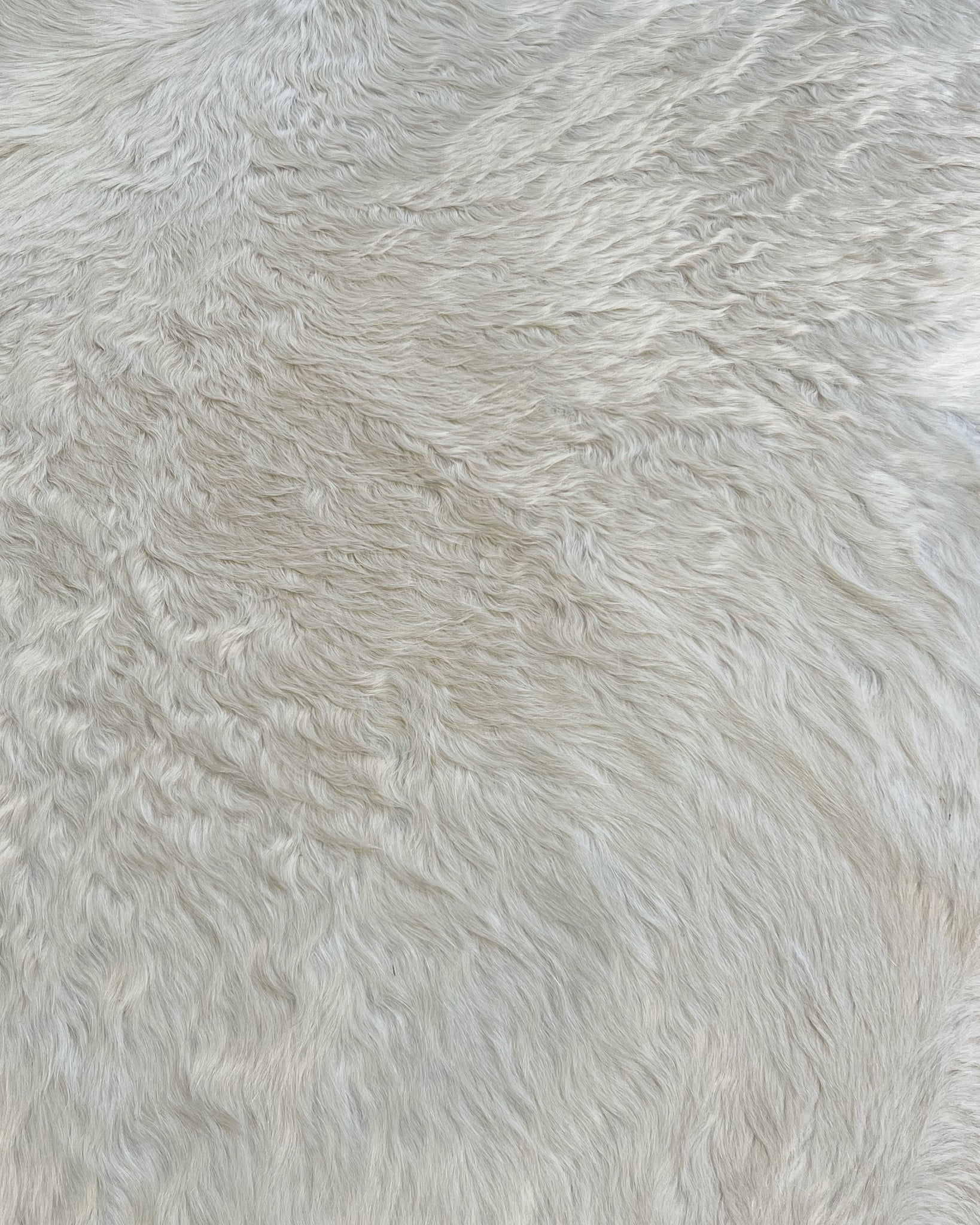 Brazilian Cowhide Rug, Ivory, No. 17