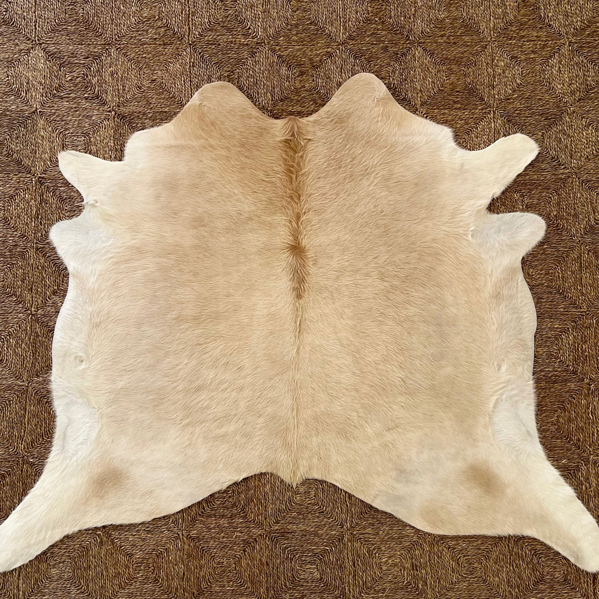 Brazilian Cowhide Rug, Palomino, No. 6