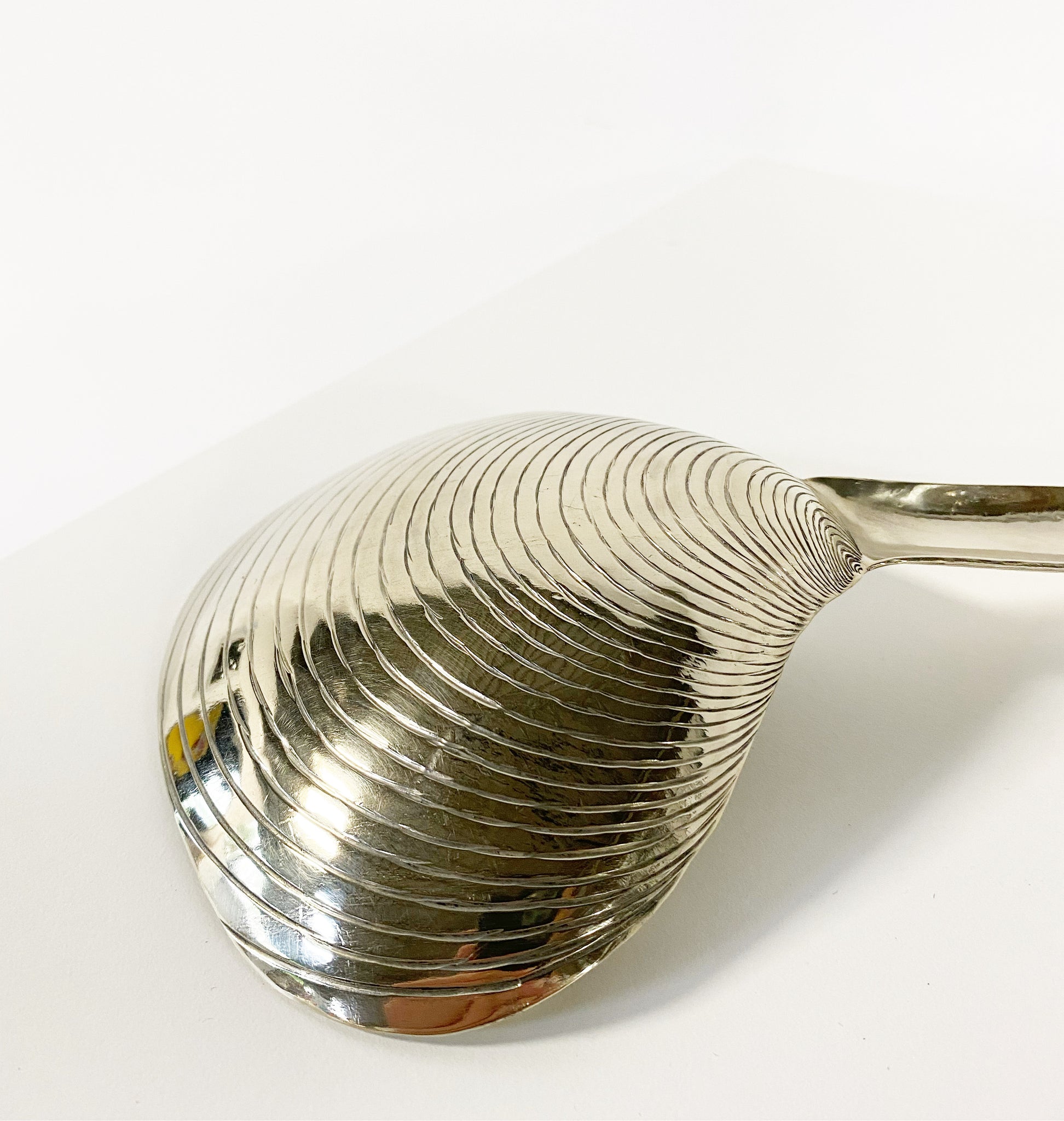 Clam Shell Spoon