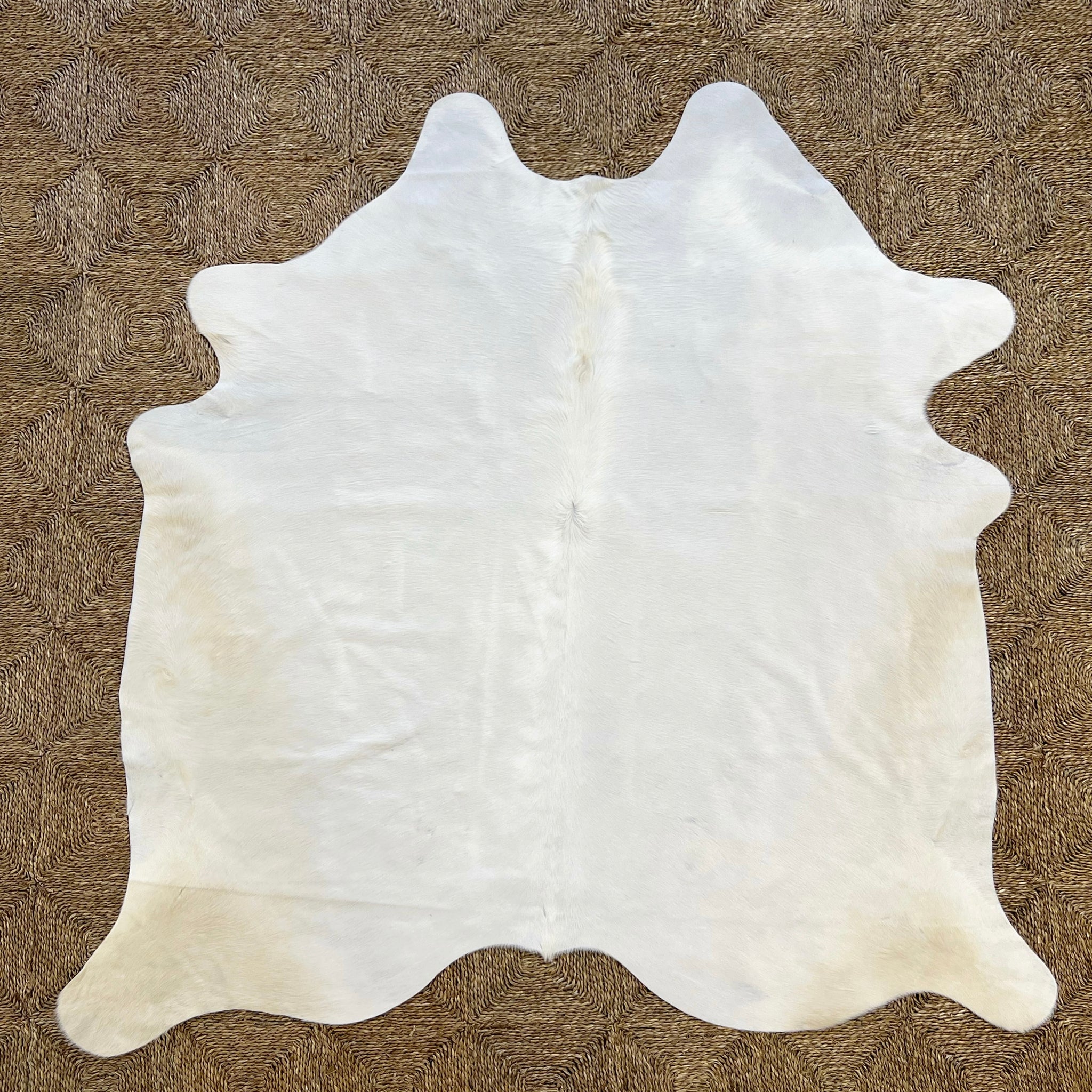 Brazilian Cowhide Rug, Ivory, No. 8