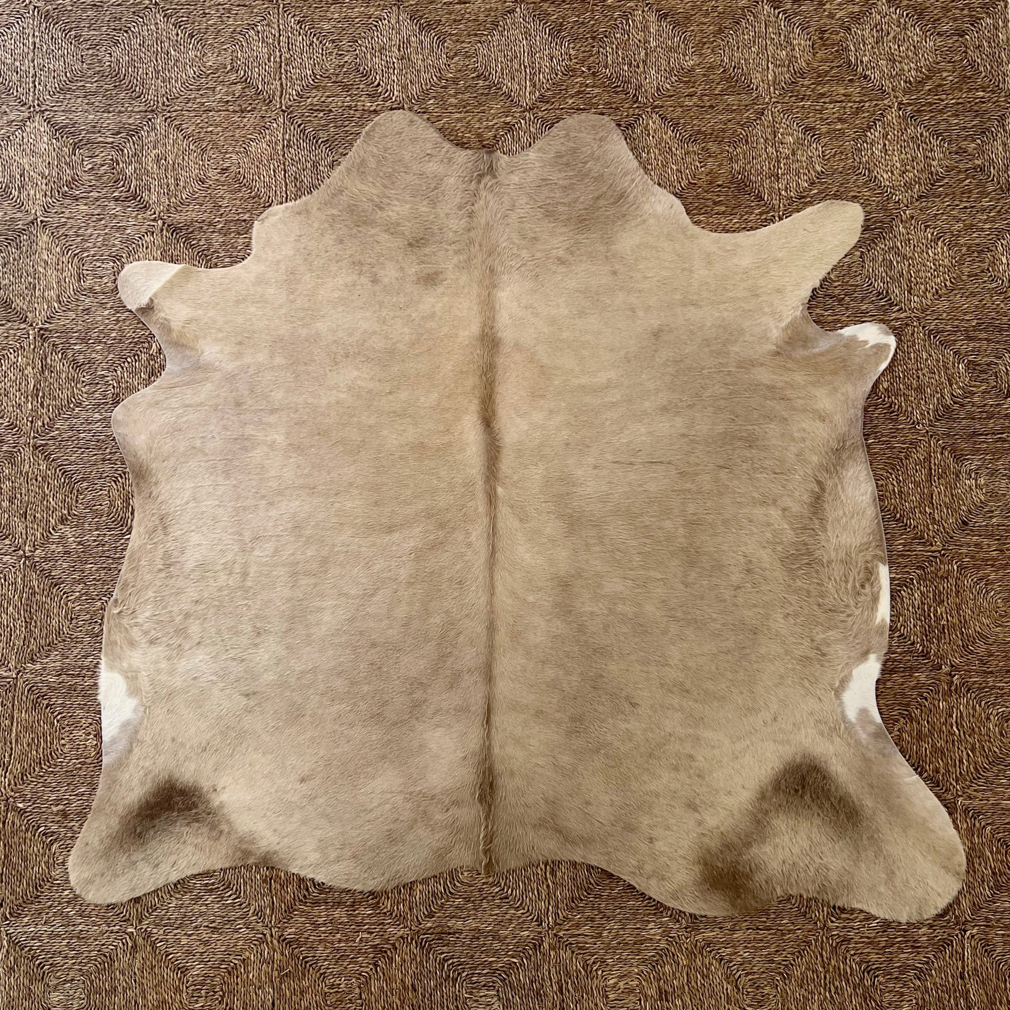 Brazilian Cowhide Rug, Champagne, No. 1