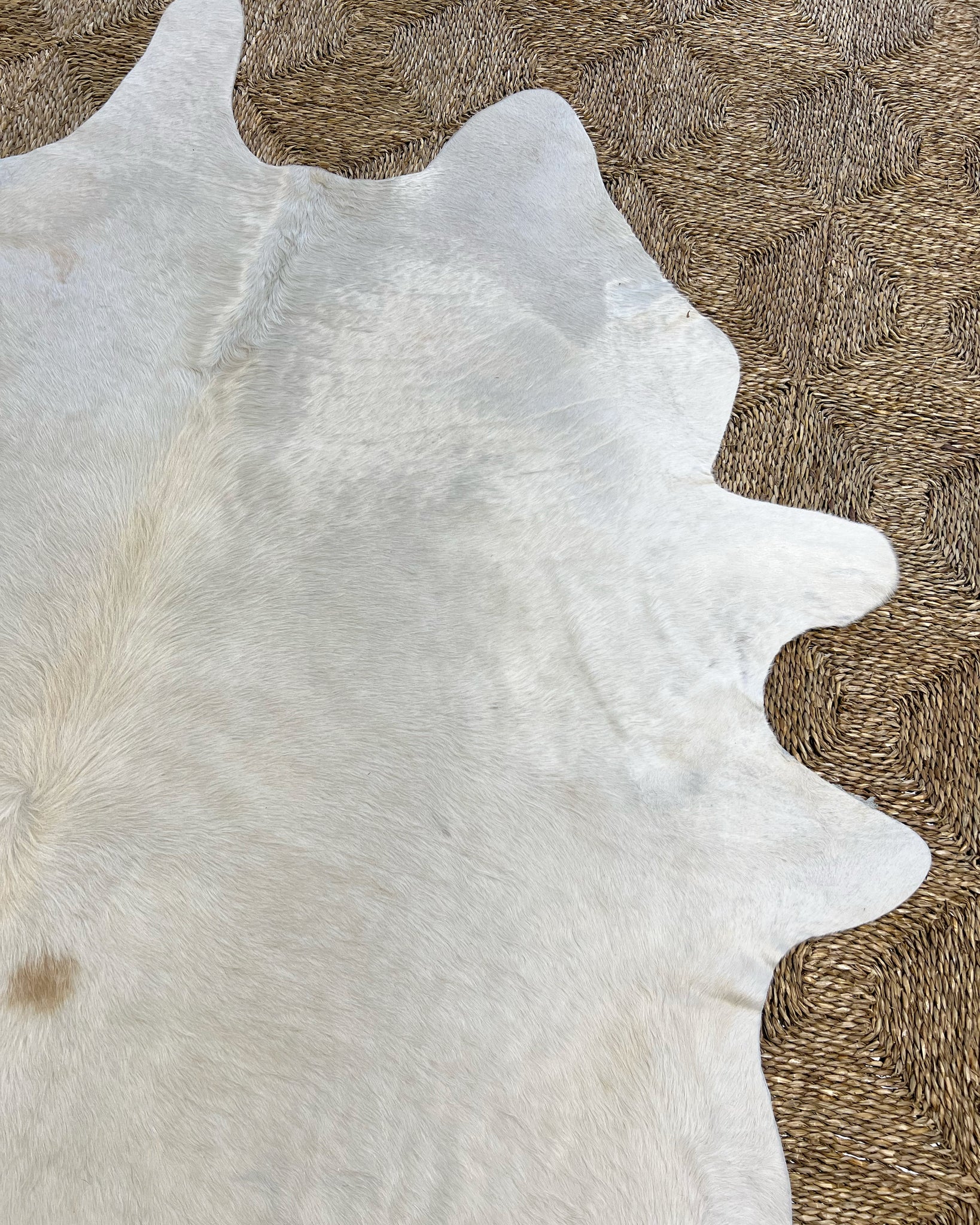 Brazilian Cowhide Rug, Ivory, No. 1