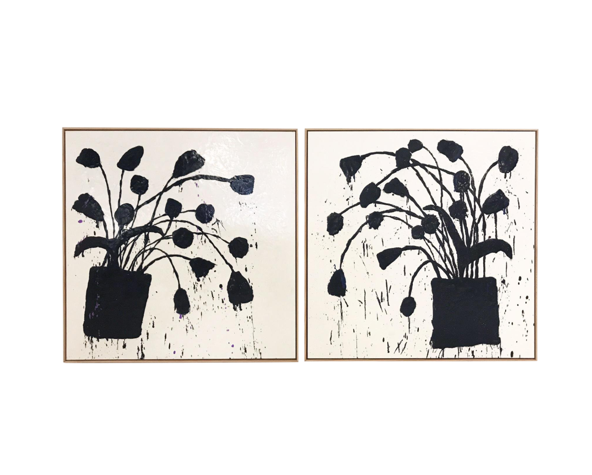 Botanical, 221. - FORSYTH