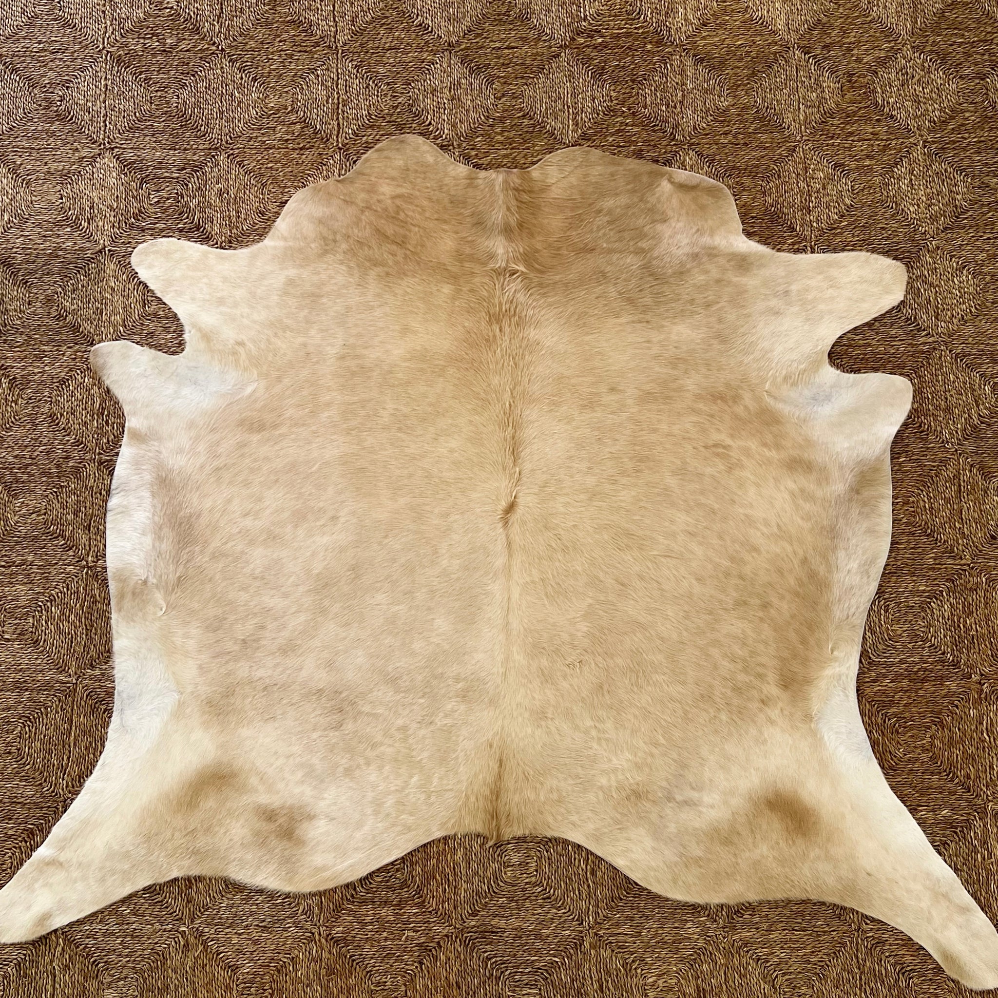 Brazilian Cowhide Rug, Palomino, No. 5