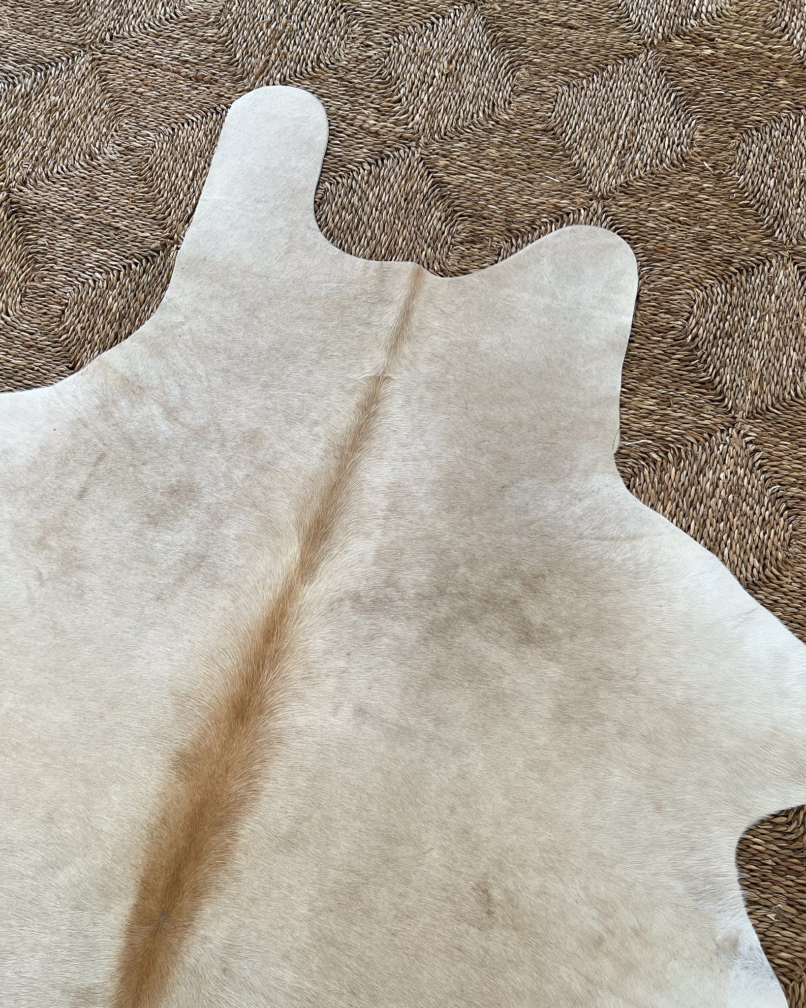 Brazilian Cowhide Rug, Palomino, No. 12