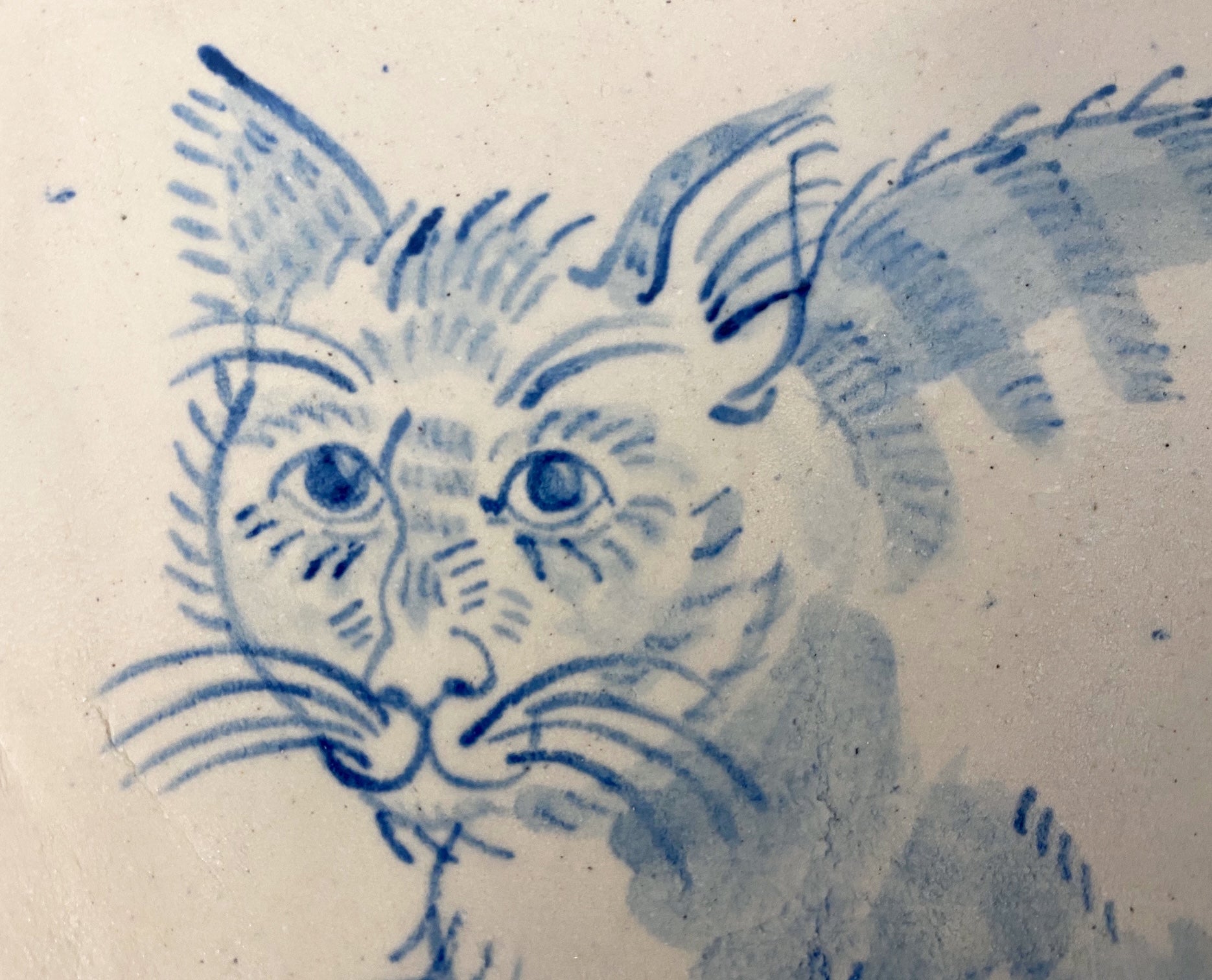 The Cat With Face of a Man (Misadventures) Tray
