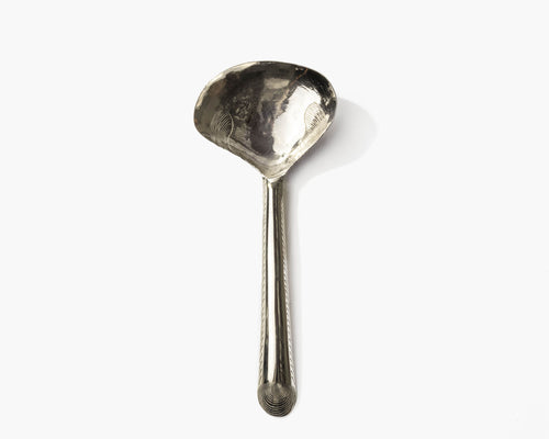 Clam Shell Spoon