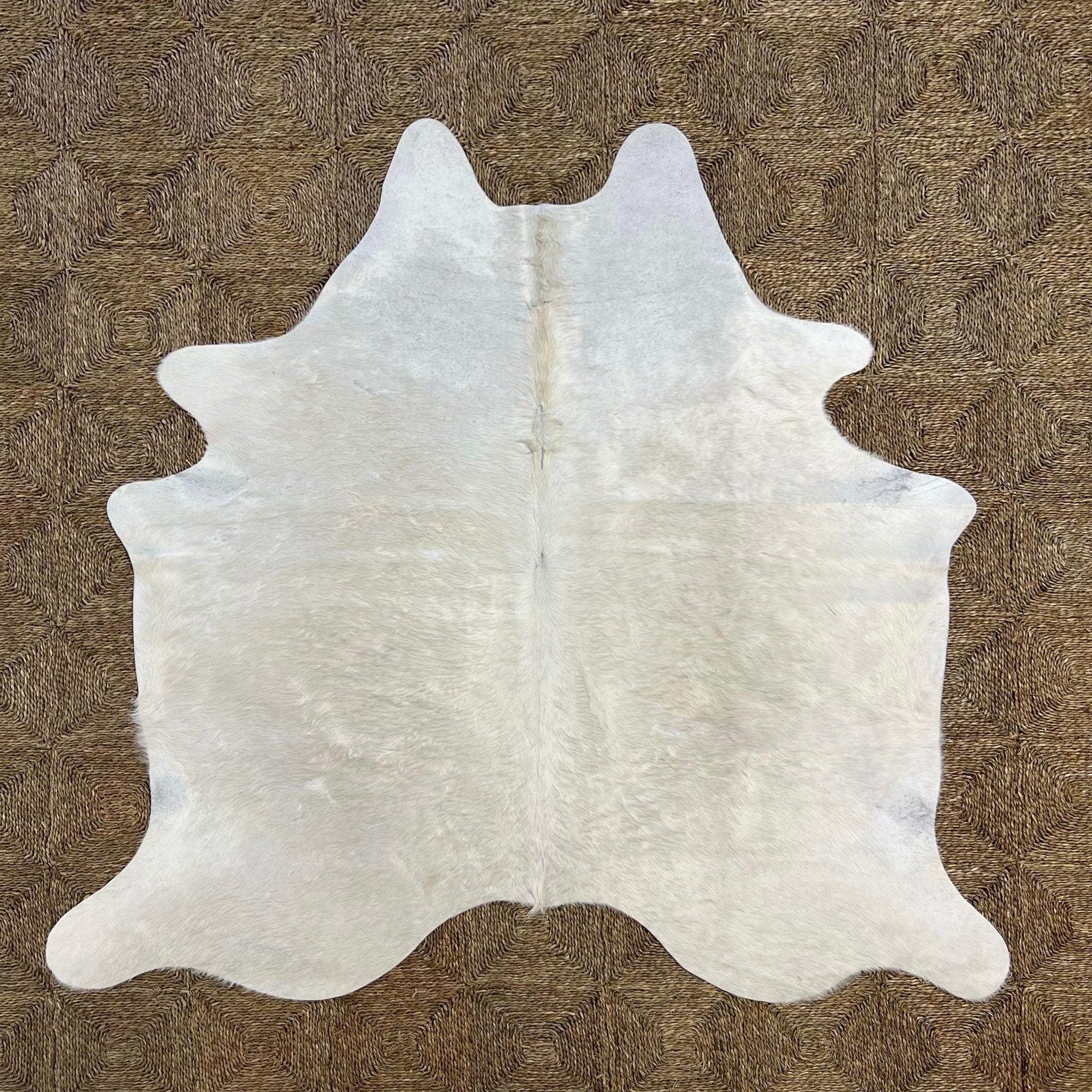 Brazilian Cowhide Rug, Ivory, No. 13