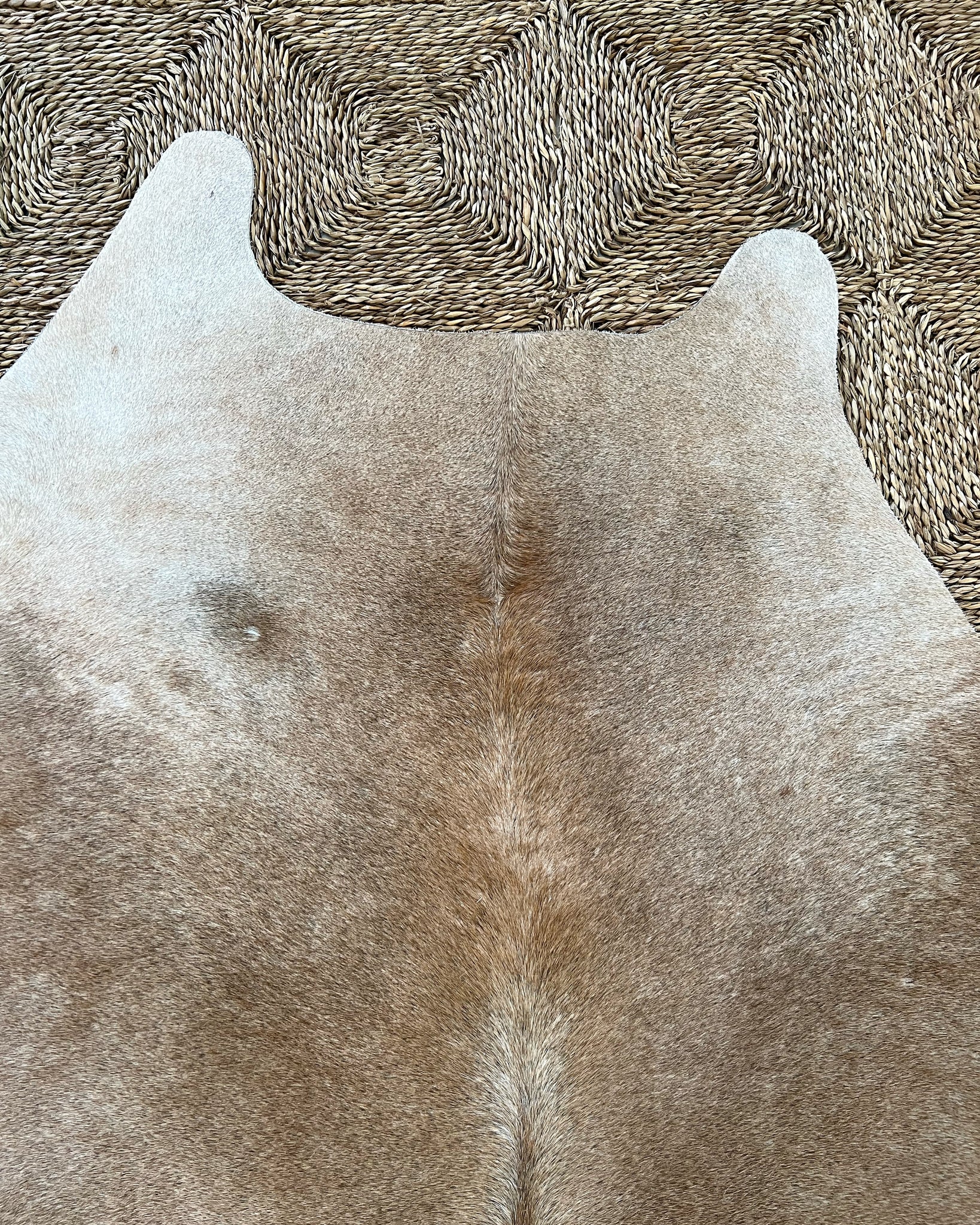 Brazilian Cowhide Rug, Palomino, No. 13