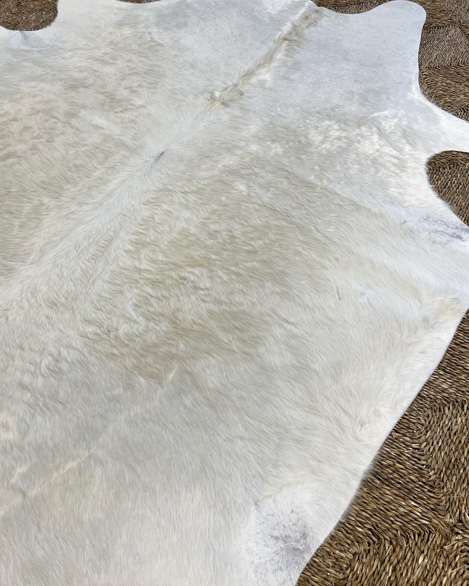 Brazilian Cowhide Rug, Ivory, No. 13