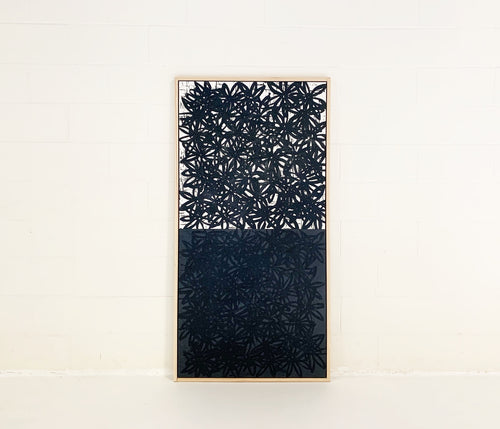 Daisies, White and Black. - FORSYTH