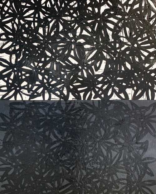 Daisies, White and Black. - FORSYTH
