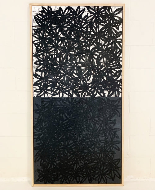 Daisies, White and Black. - FORSYTH