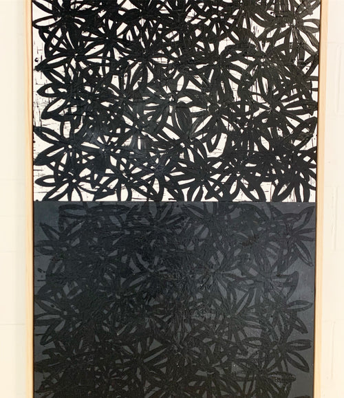 Daisies, White and Black. - FORSYTH