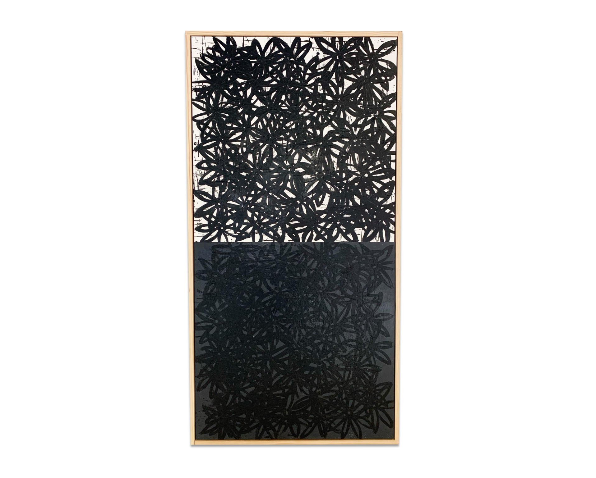 Daisies, White and Black. - FORSYTH