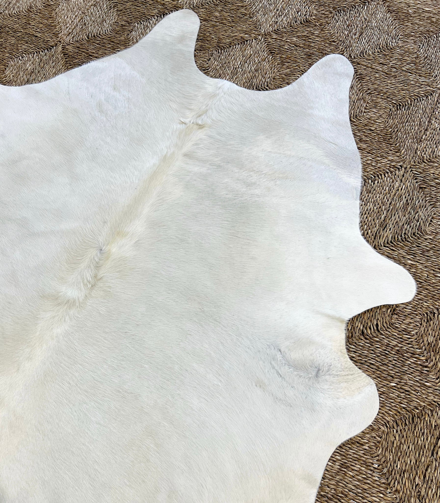 Brazilian Cowhide Rug, Ivory, No. 2