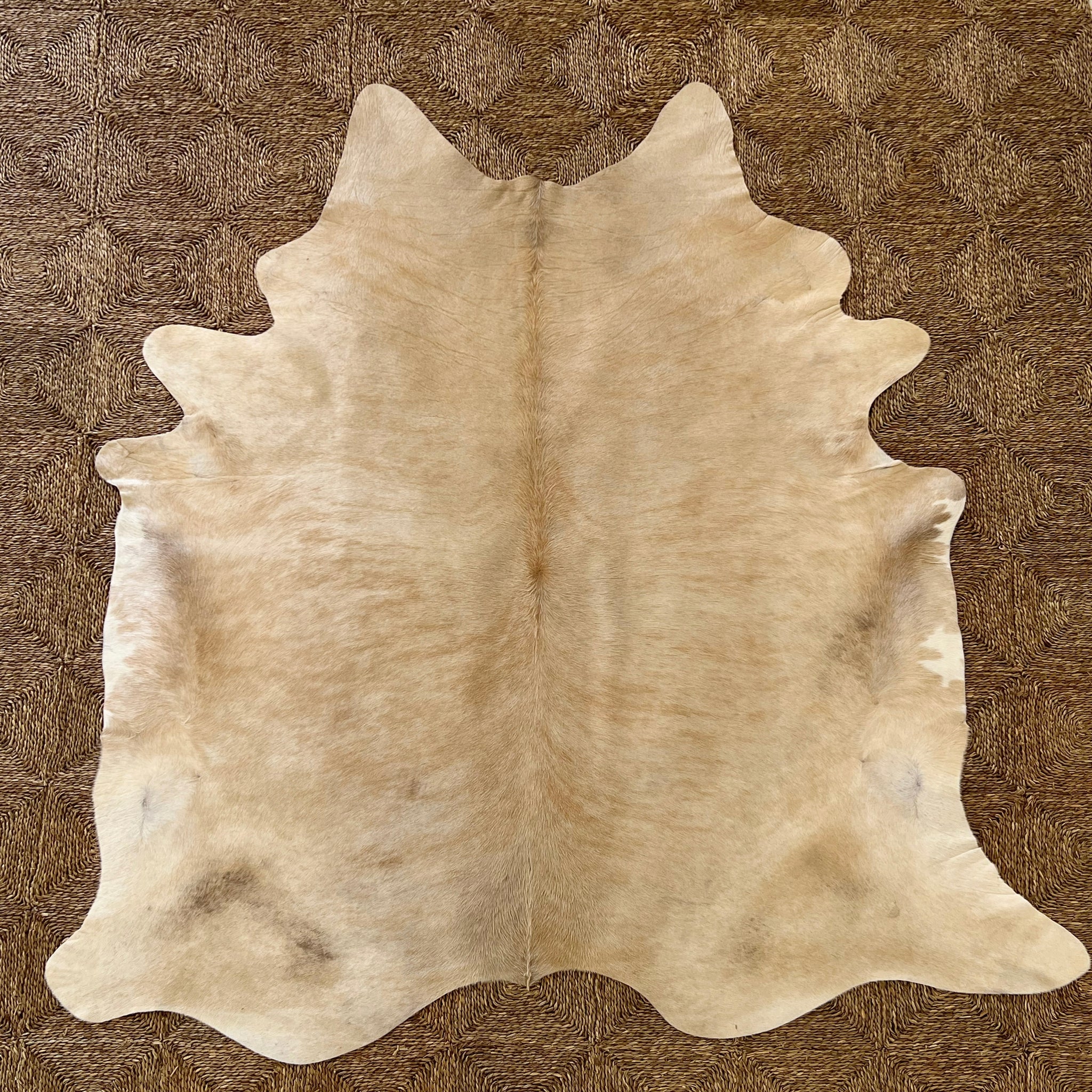 Brazilian Cowhide Rug, Palomino, No. 8