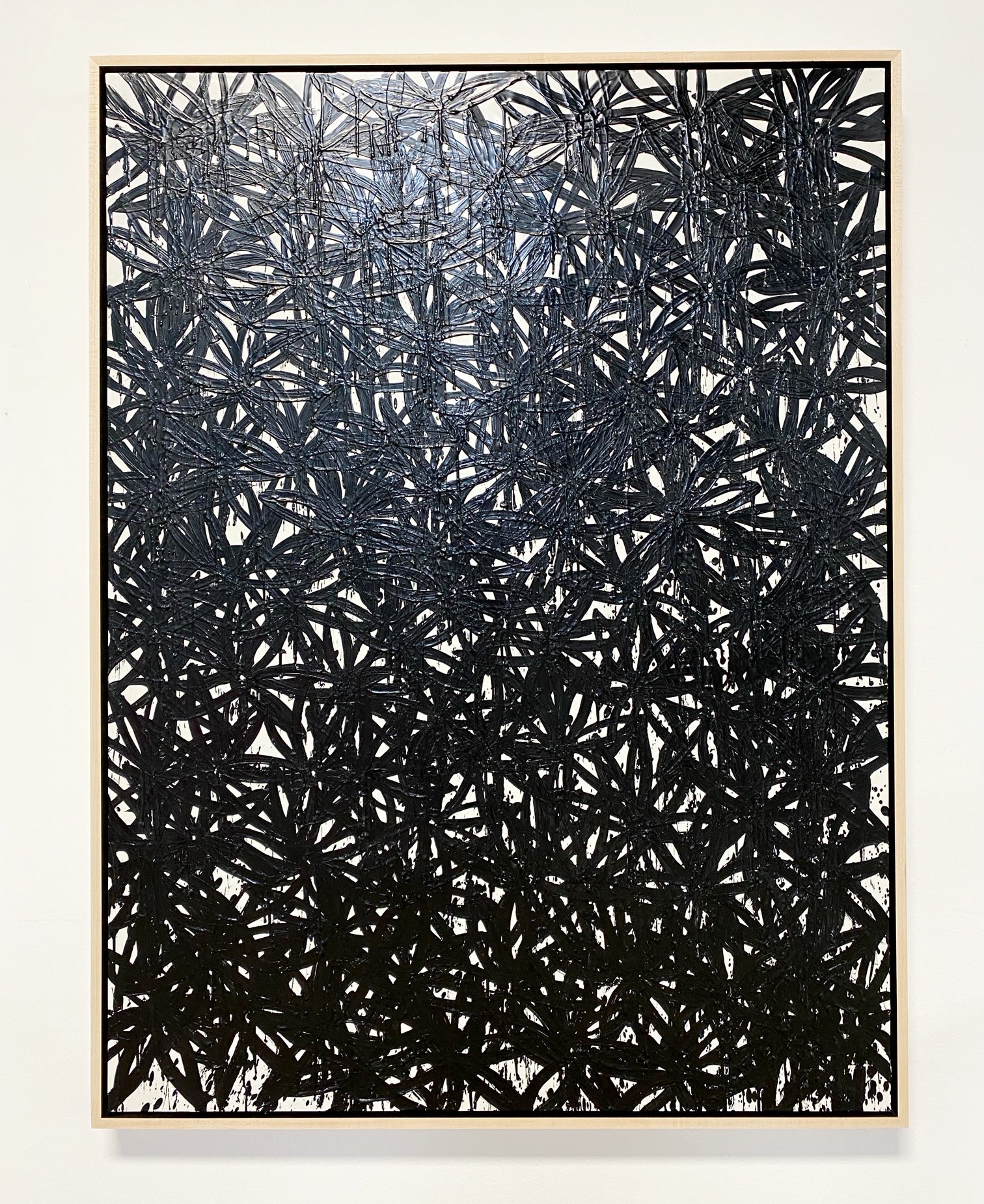 Daisies, Black.