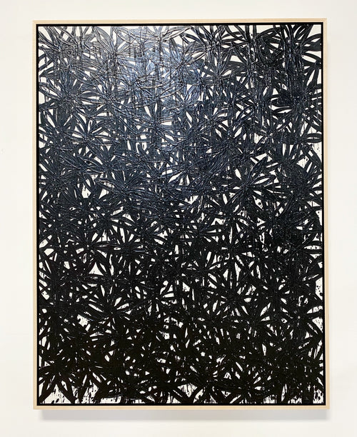 Daisies, Black.