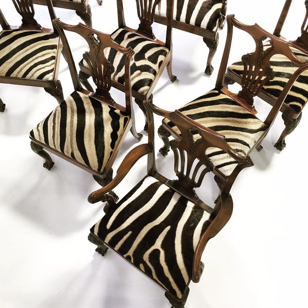 George II Walnut Dining Chairs in Zebra Hide, set of 8 - FORSYTH