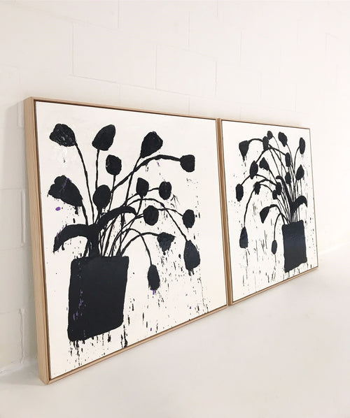 Botanical, 221. - FORSYTH