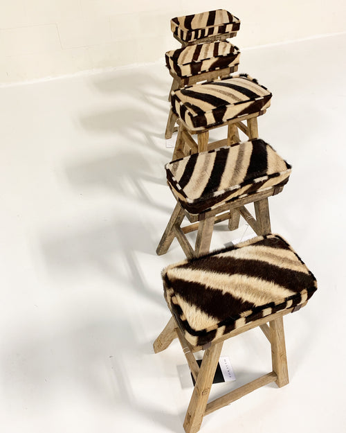 Chinese Elmwood Stool with Zebra Cushion - FORSYTH