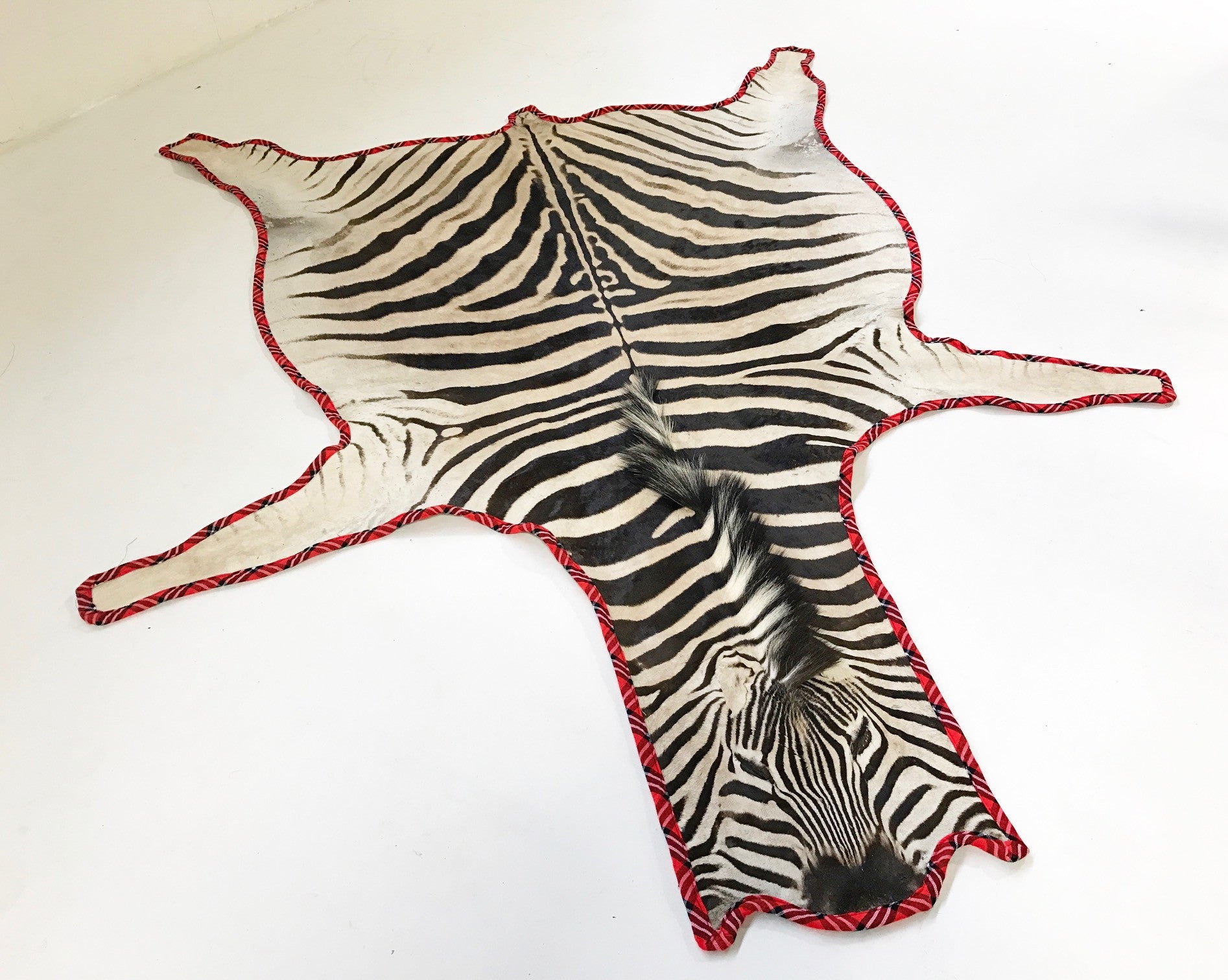 Zebra Hide Rug, Trimmed in Maasai Shuka - FORSYTH