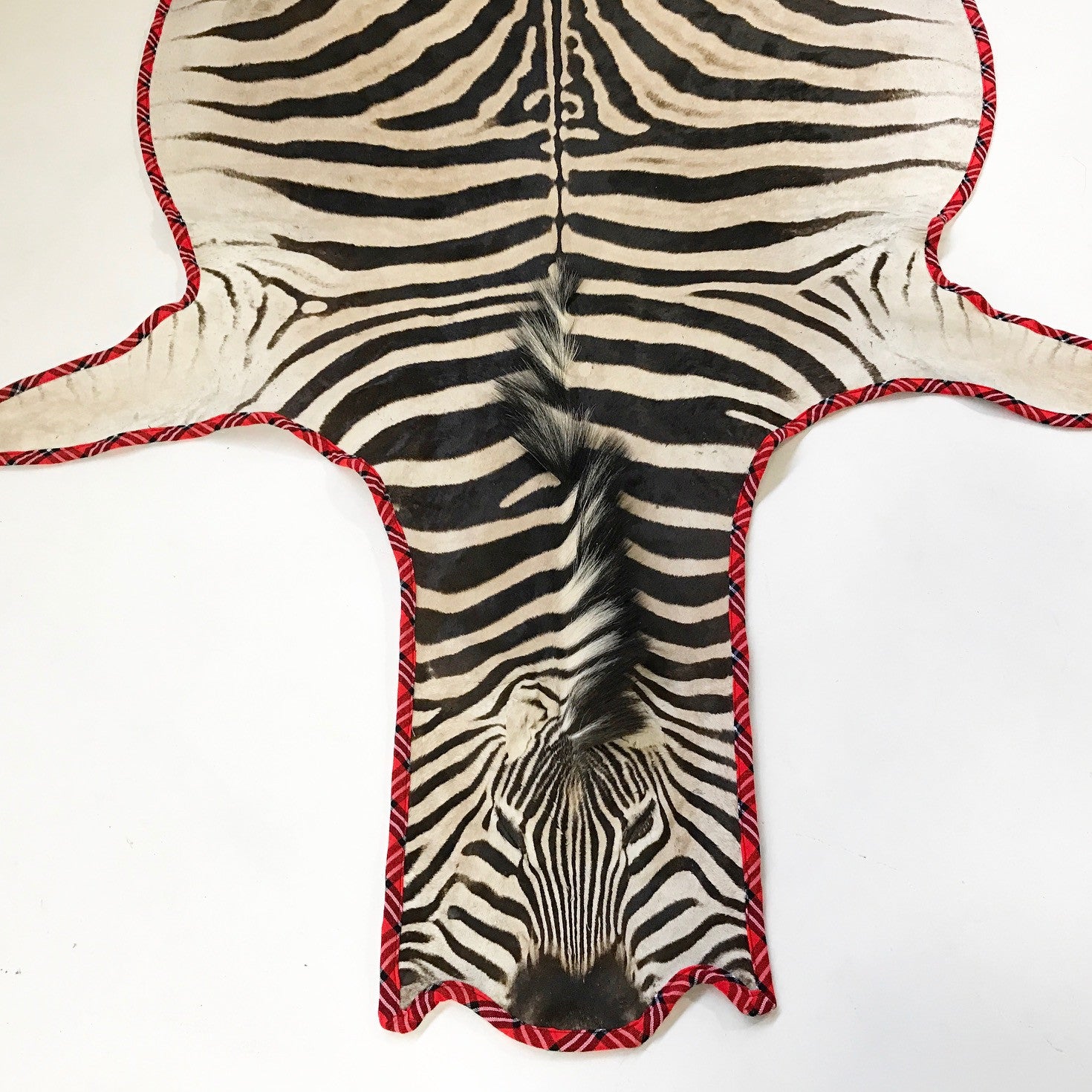 Zebra Hide Rug, Trimmed in Maasai Shuka - FORSYTH