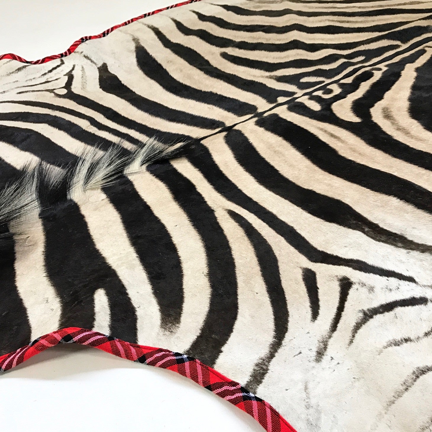 Zebra Hide Rug, Trimmed in Maasai Shuka - FORSYTH