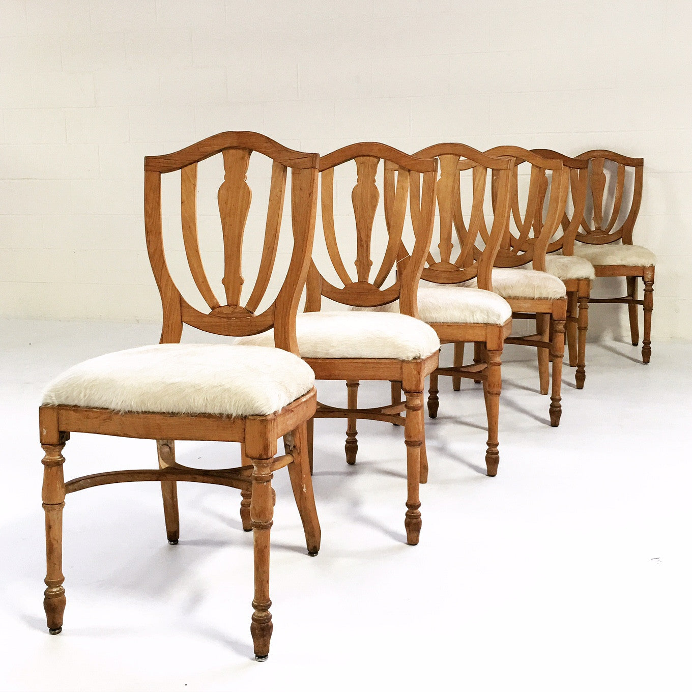 Maple Dining Chairs in Brazilian Cowhide, set of 6 - FORSYTH