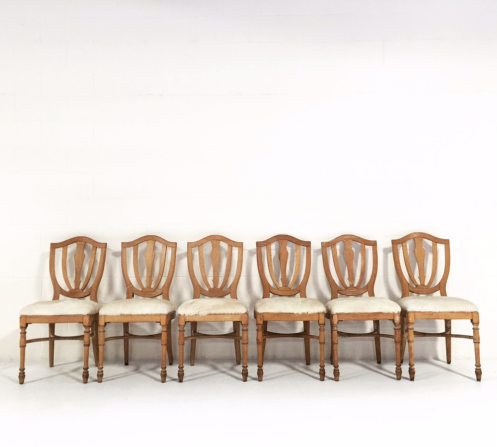 Maple Dining Chairs in Brazilian Cowhide, set of 6 - FORSYTH