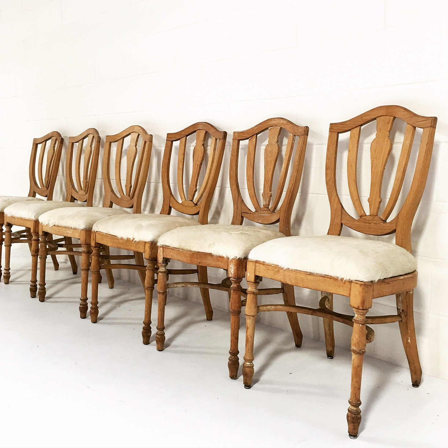 Maple Dining Chairs in Brazilian Cowhide, set of 6 - FORSYTH