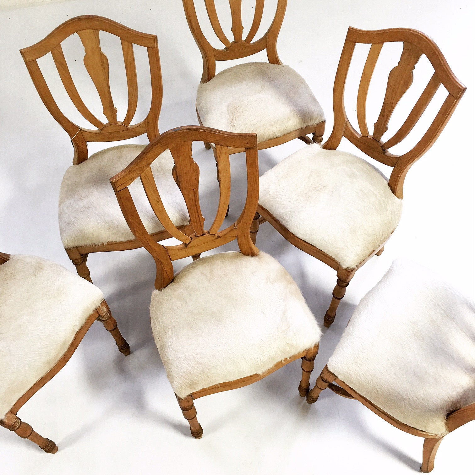 Maple Dining Chairs in Brazilian Cowhide, set of 6 - FORSYTH