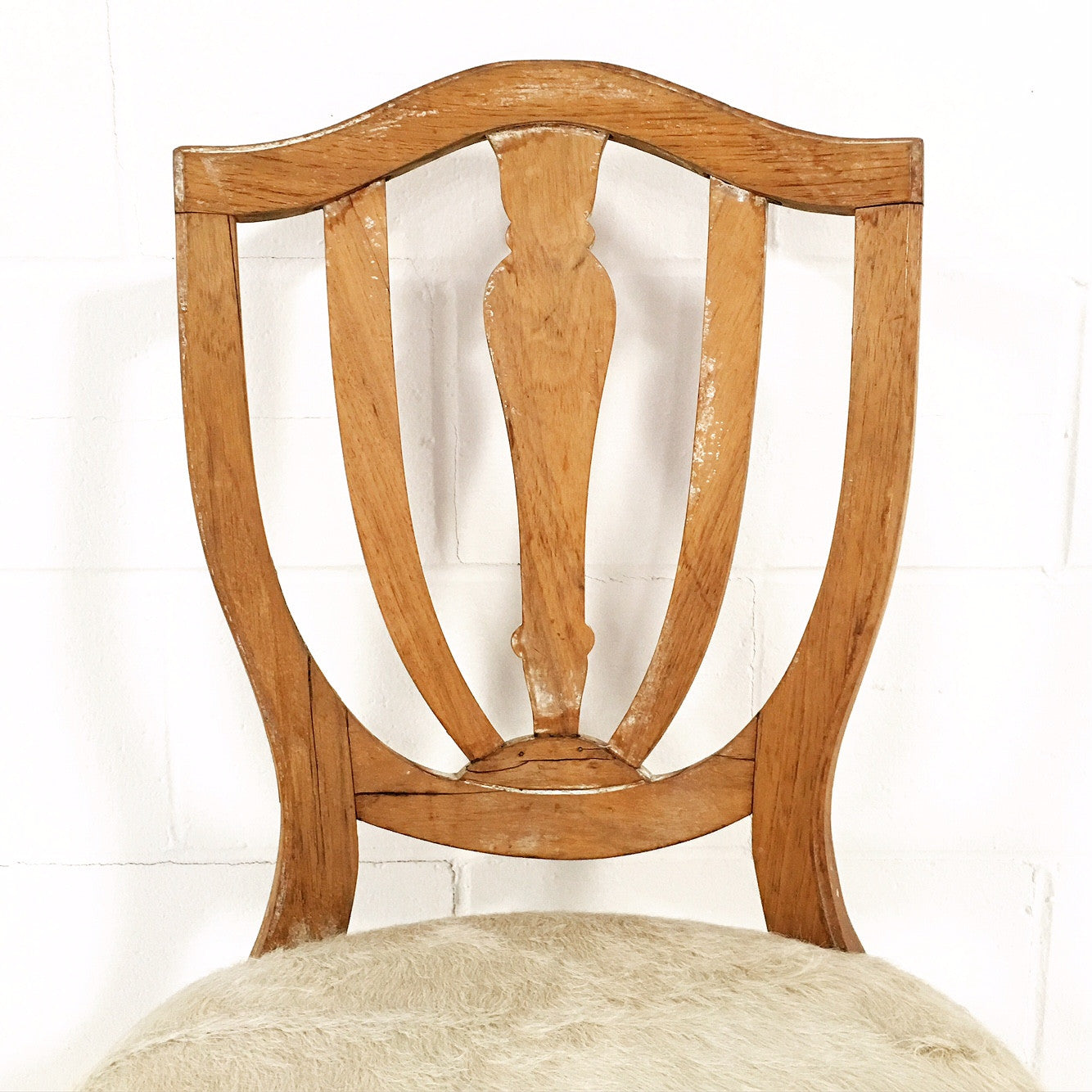 Maple Dining Chairs in Brazilian Cowhide, set of 6 - FORSYTH