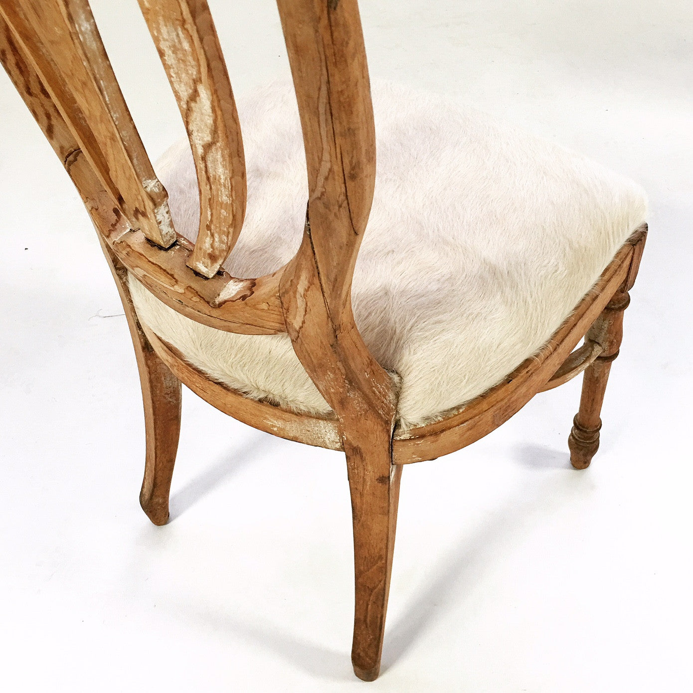 Maple Dining Chairs in Brazilian Cowhide, set of 6 - FORSYTH