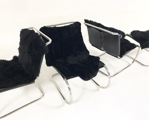 MR Chairs with Brazilian Sheepskins, set of 4 - FORSYTH