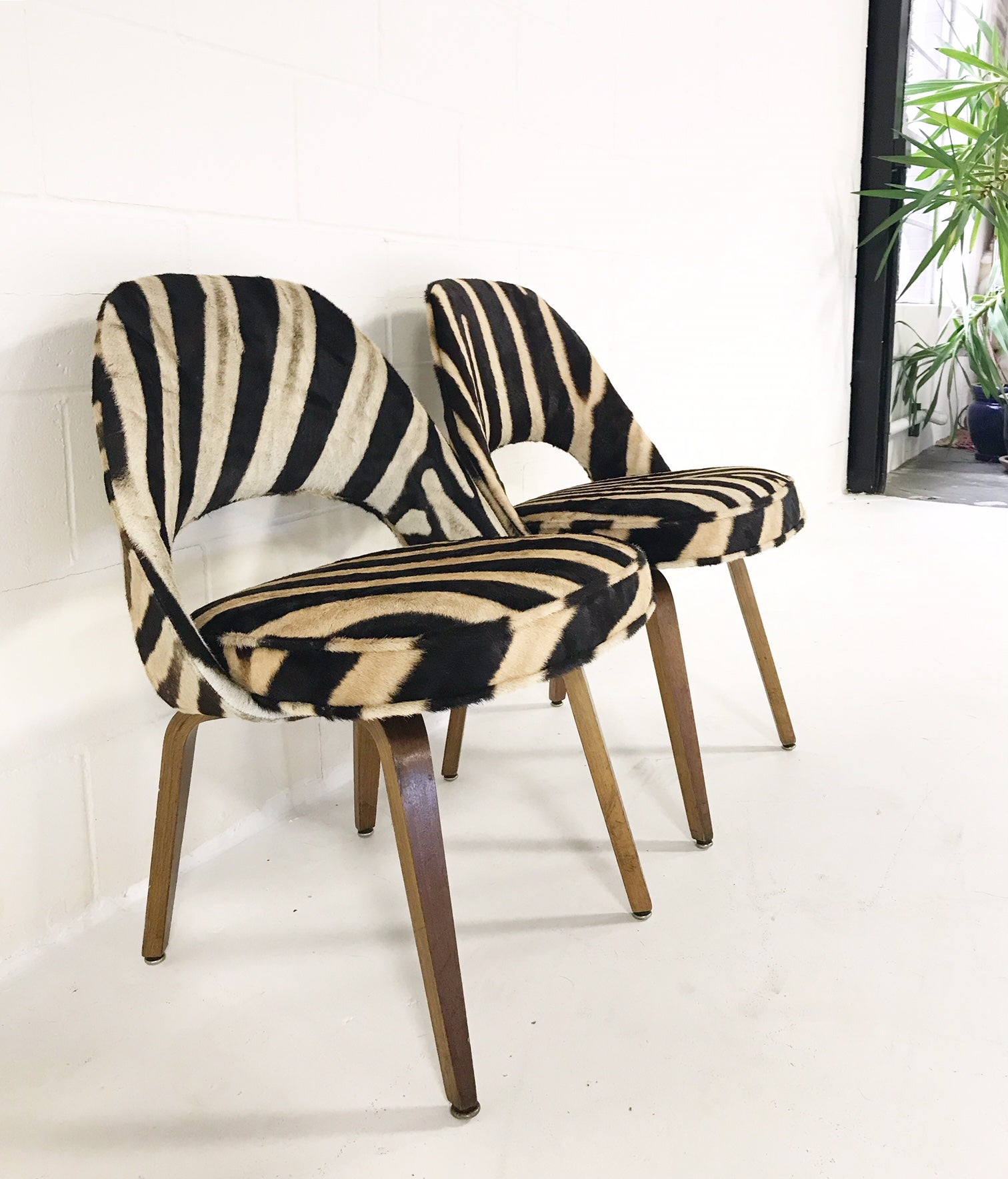 Executive Chairs in Zebra Hide, pair - FORSYTH