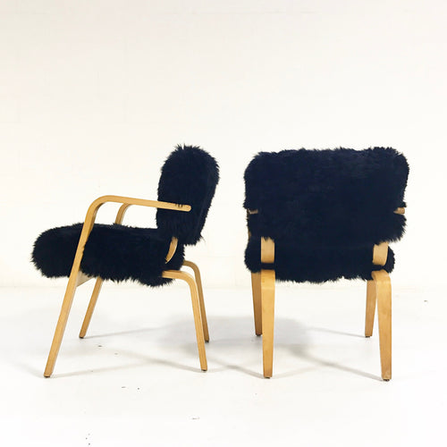 Armchairs in New Zealand Sheepskin, pair - FORSYTH