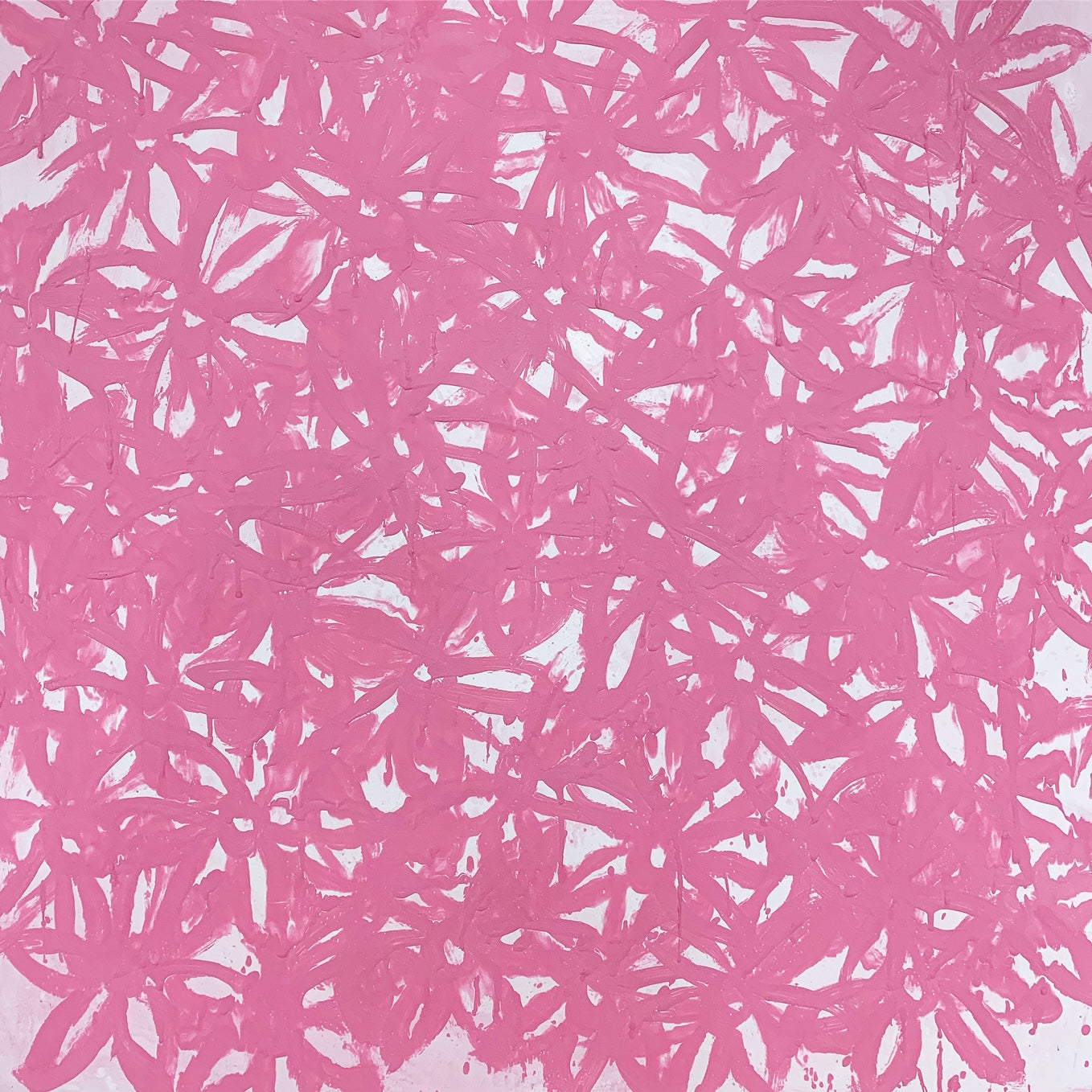 Daisies, Pink. - FORSYTH