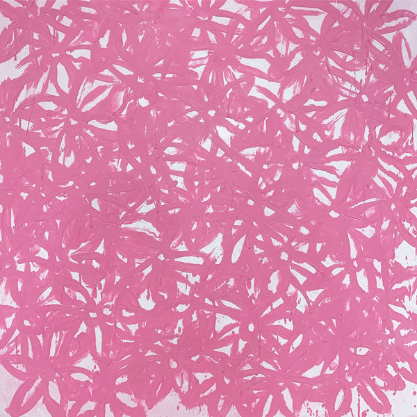 Daisies, Pink. - FORSYTH