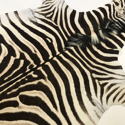 Zebra Hide Rug - FORSYTH