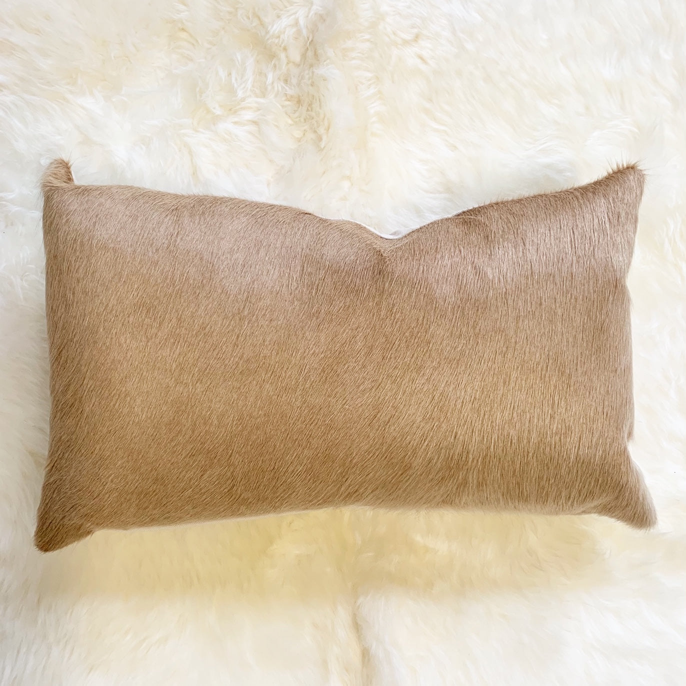 Palomino Cowhide Pillow, 21x13" - FORSYTH
